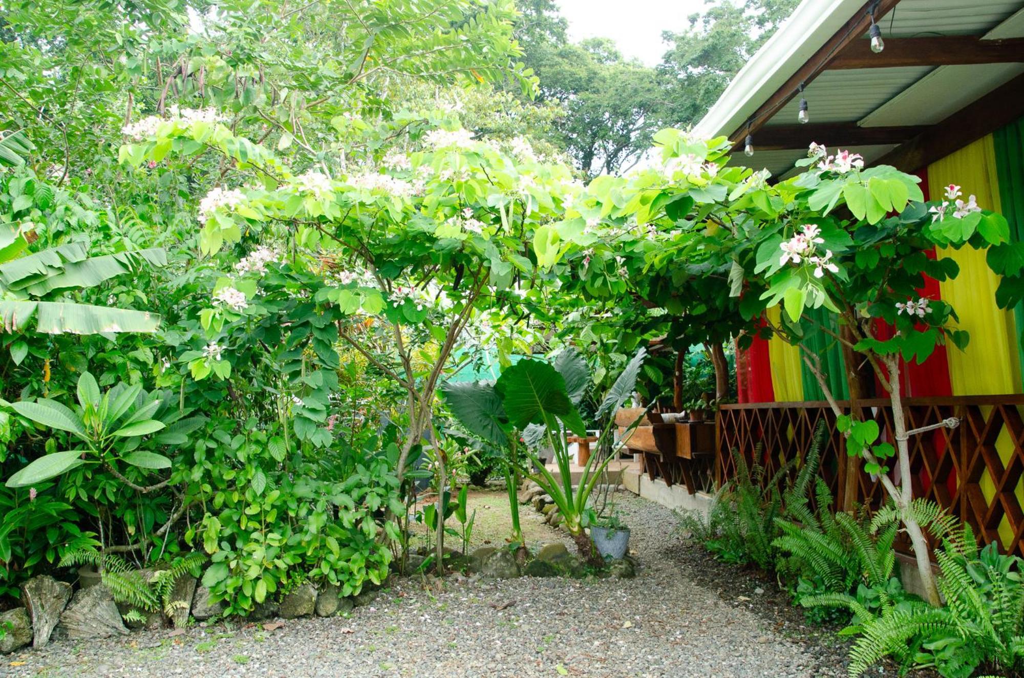 Colibri Ecolodge 3 Minutes Walk To Beach And Town Puerto Viejo de Talamanca Exterior photo